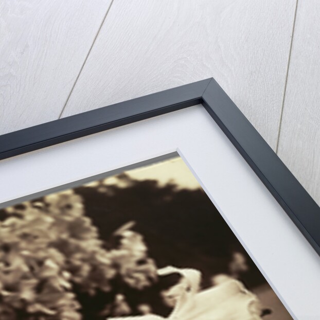 Lys (Lilies) by Eugène Atget