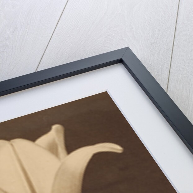 No. 1. by Tina Modotti