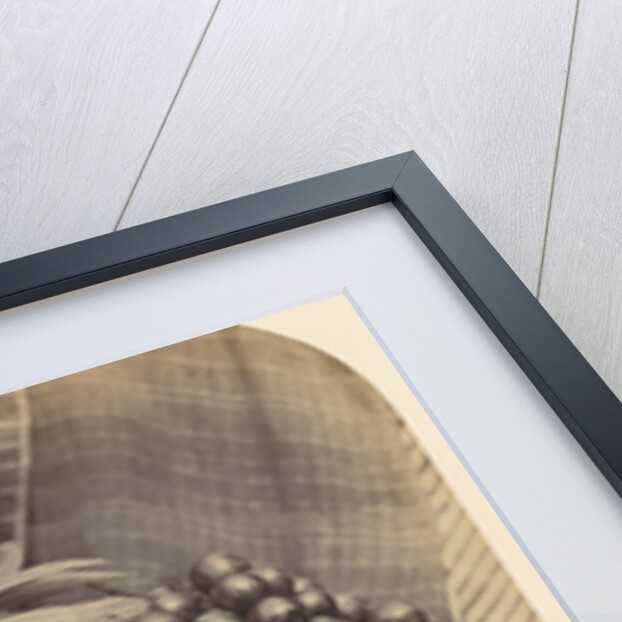 Still Life with Fruit and Decanter by Roger Fenton