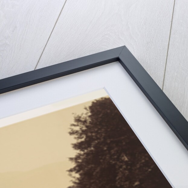 On the Llugwy, near Bettws-y-Coed by Roger Fenton