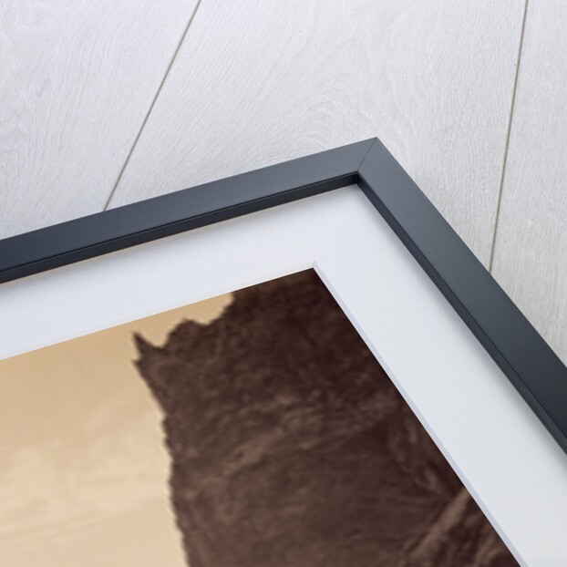 The Royal Gorge, Grand Cañon of the Arkansas by William Henry Jackson