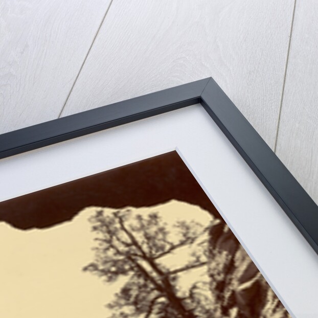 Cameron's Cone from Tunnel 4, Colorado Midland Railway by William Henry Jackson