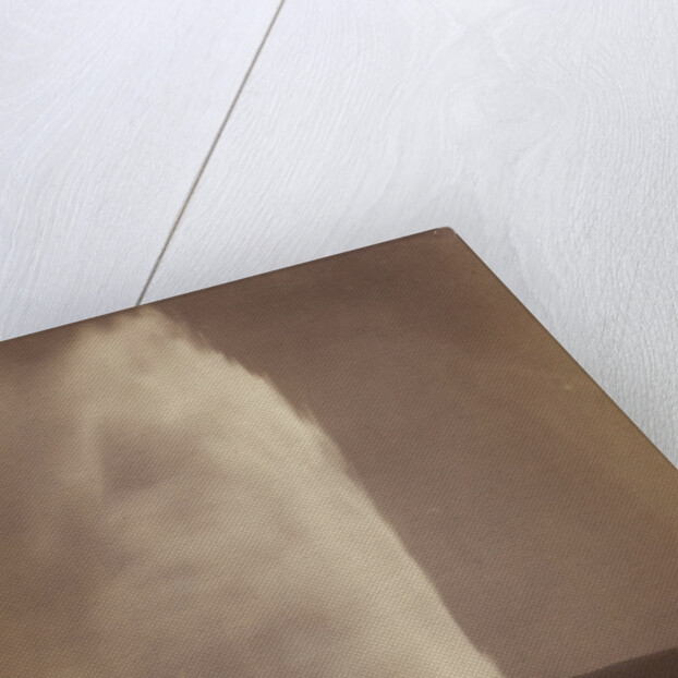 Old Faithful by William Henry Jackson