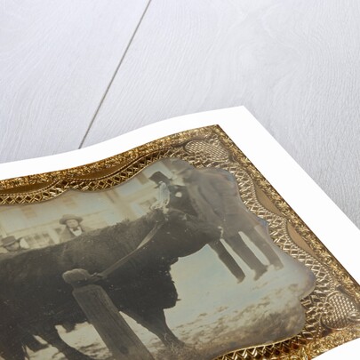 Four Men Posed with a Bull by Anonymous