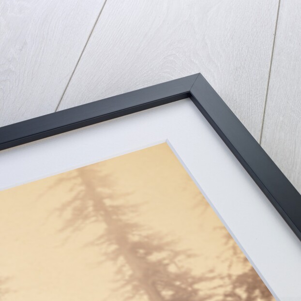 Big Tree Station, Santa Cruz by William Henry Jackson