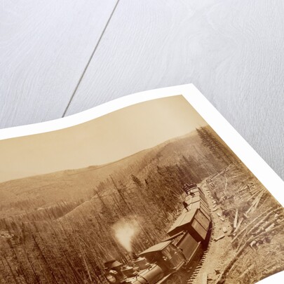 Marshall Pass, Westside by William Henry Jackson