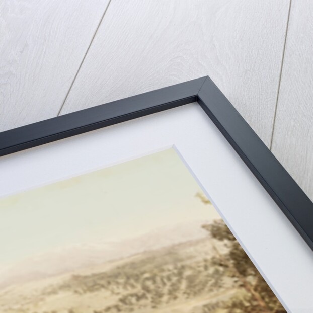 Marshall Pass, Colorado by William Henry Jackson