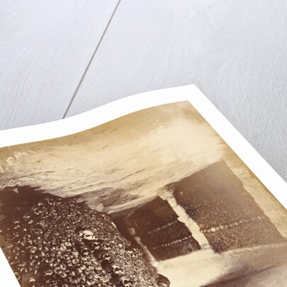 View in the Catacombs by Nadar [Gaspard Félix Tournachon]