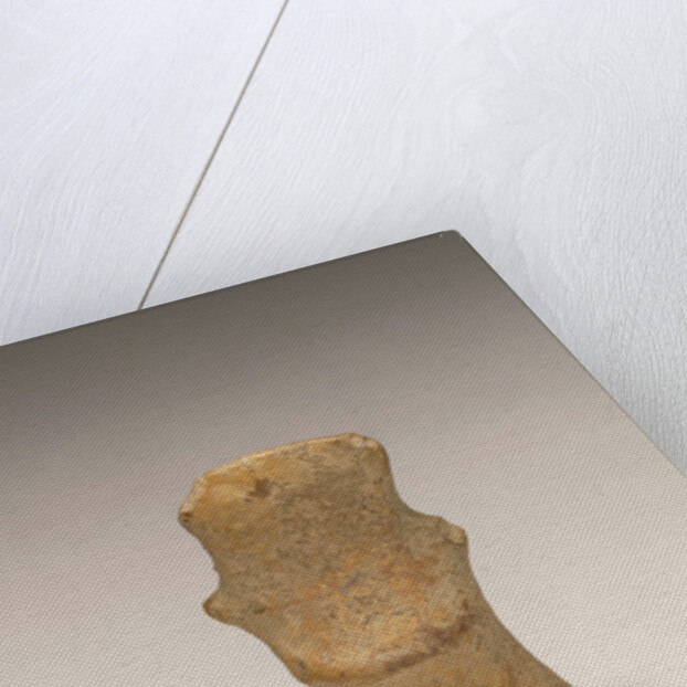 Neolithic standing figurine by Anonymous