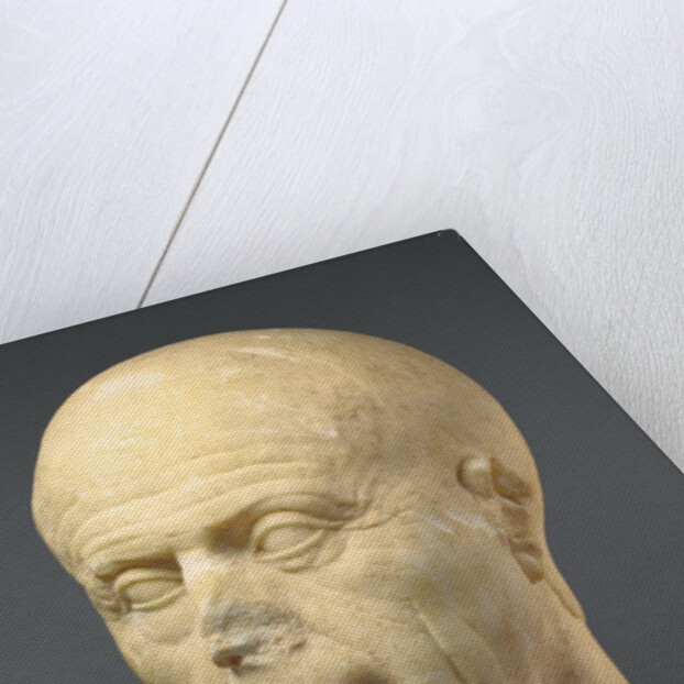 Portrait Head of an Old Man by Anonymous
