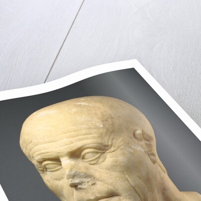 Portrait Head of an Old Man by Anonymous