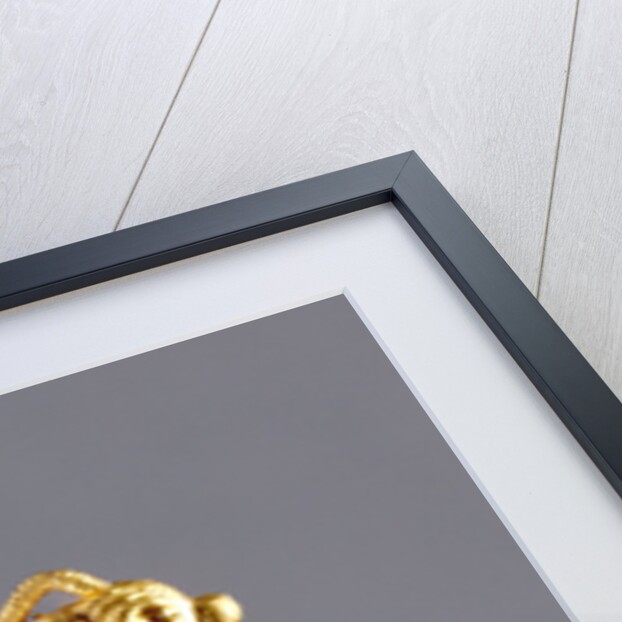 Hoop Earrings with Antelope Head Finials by Anonymous