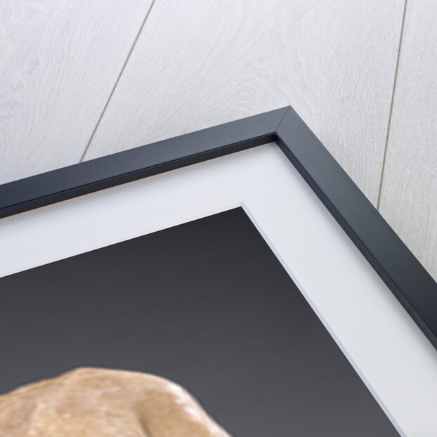 Torso of a Kouros by Anonymous