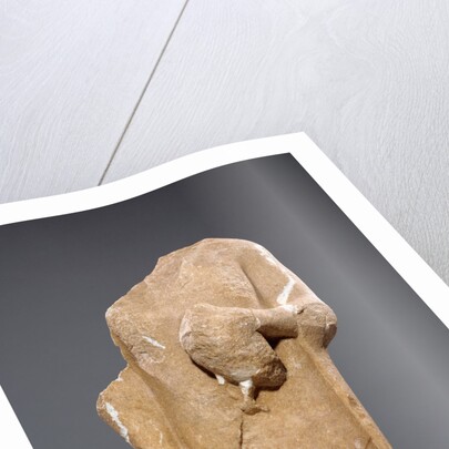 Torso of a Kouros by Anonymous