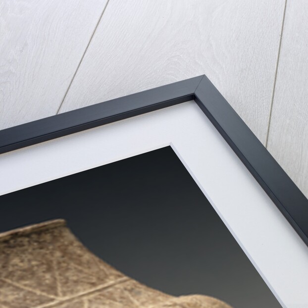 Collared Jar of the Grotta-Pelos Group by Anonymous