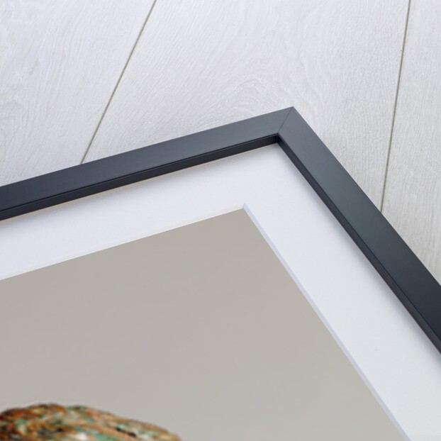 Portrait Bust of Demosthenes by Anonymous