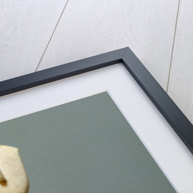 Female Figure of the Late Spedos Type by the Schuster Master