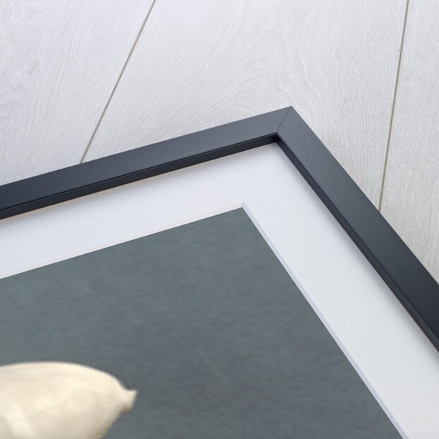 Female Figure of the Kilia Type by Anonymous