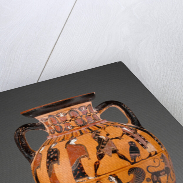 Euboean Black-Figure Neck Amphora by Anonymous