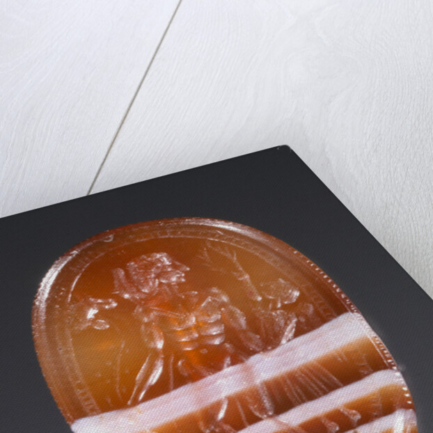 Engraved Scarab by Anonymous