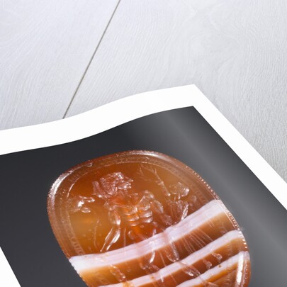 Engraved Scarab by Anonymous