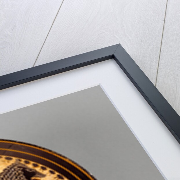 Lakonian Black-Figure Kylix, detached fragments by Boreads Painter