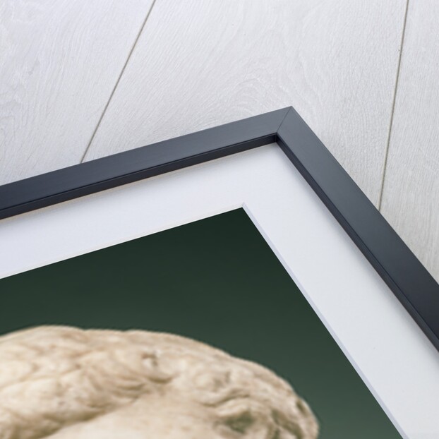Portrait Head of Nerva by Anonymous