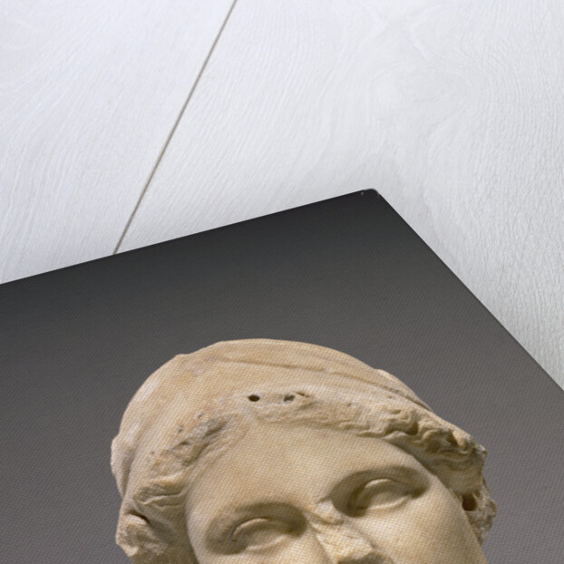 Head of Athena by Anonymous