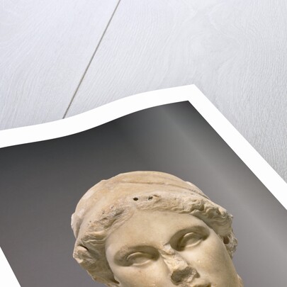 Head of Athena by Anonymous