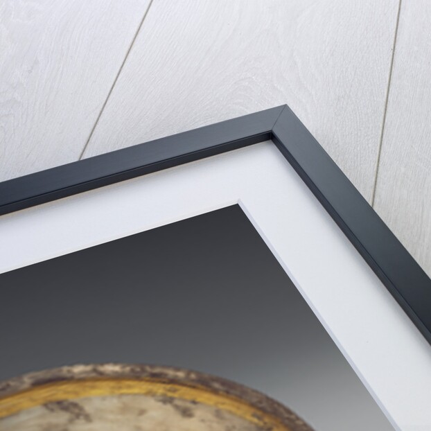 Bowl with Leaf Calyx Medallion by Anonymous