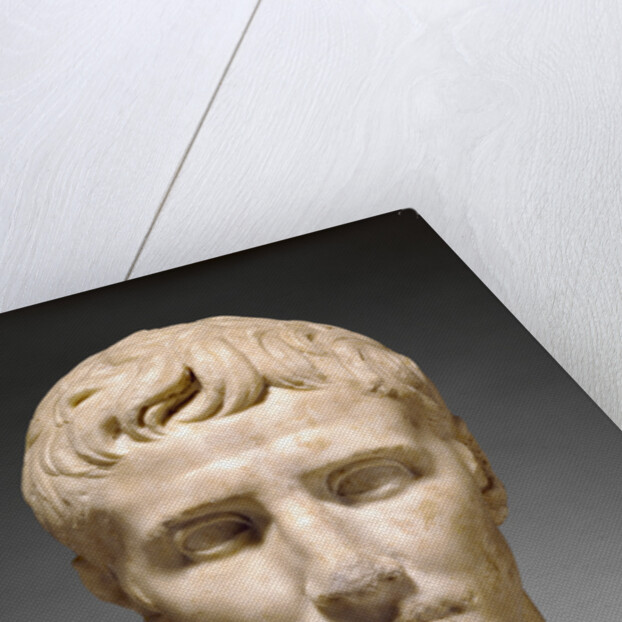 Portrait Head of Augustus by Anonymous
