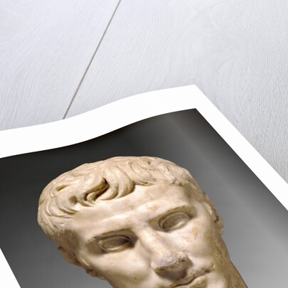 Portrait Head of Augustus by Anonymous