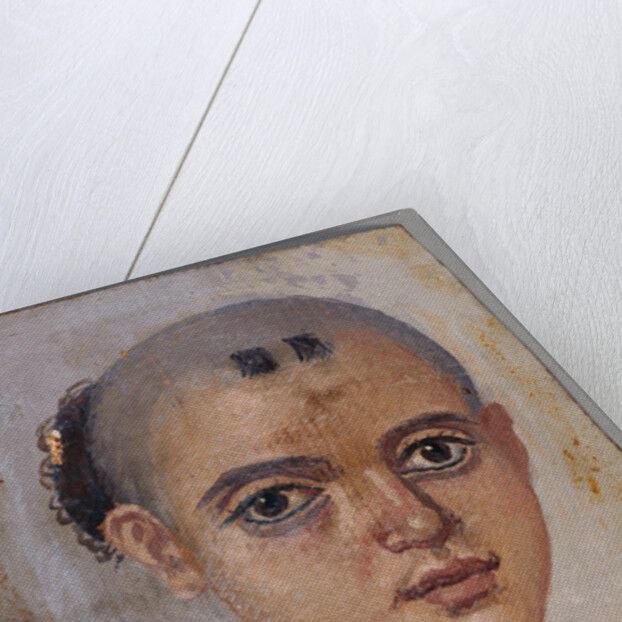Mummy Portrait of a Youth by Anonymous