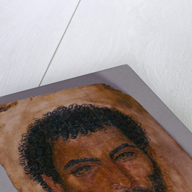Mummy Portrait of a Bearded Man by Anonymous