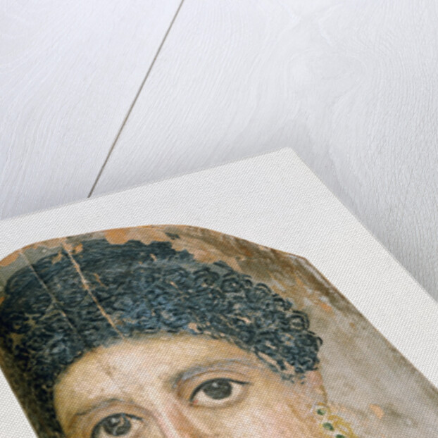 Mummy Portrait by Malibu Painter