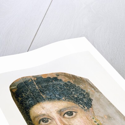 Mummy Portrait by Malibu Painter