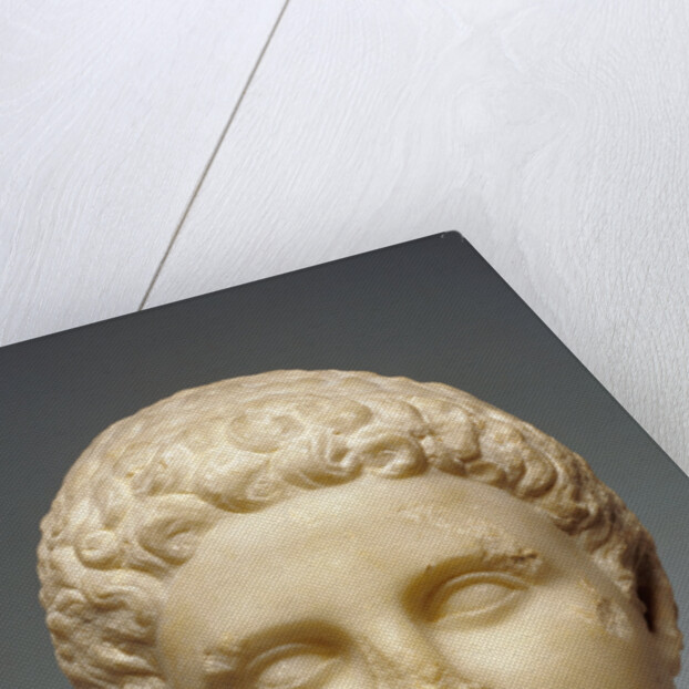 Portrait of Hephaistion by Anonymous