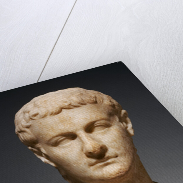Portrait Head of Caligula by Anonymous