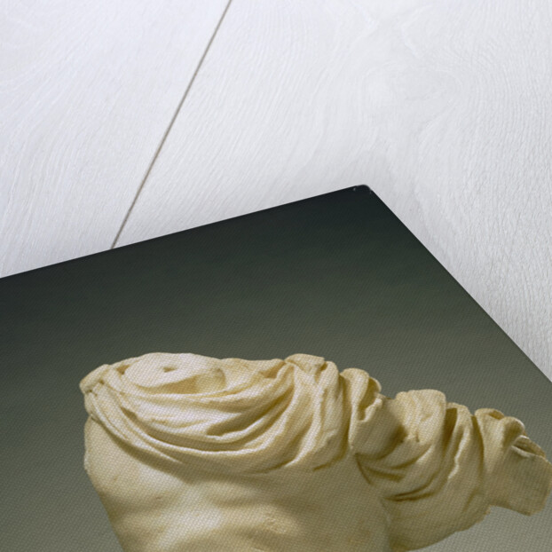 Torso of Actaeon by Anonymous