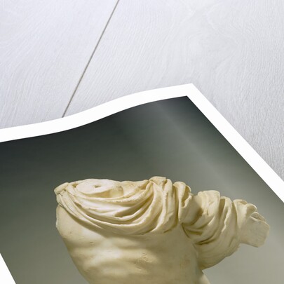 Torso of Actaeon by Anonymous