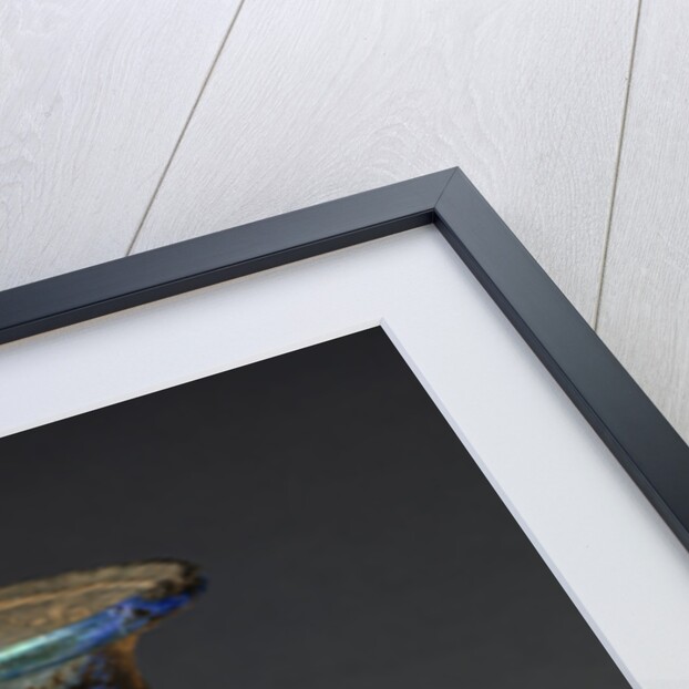 Sprinkler Flask by Anonymous