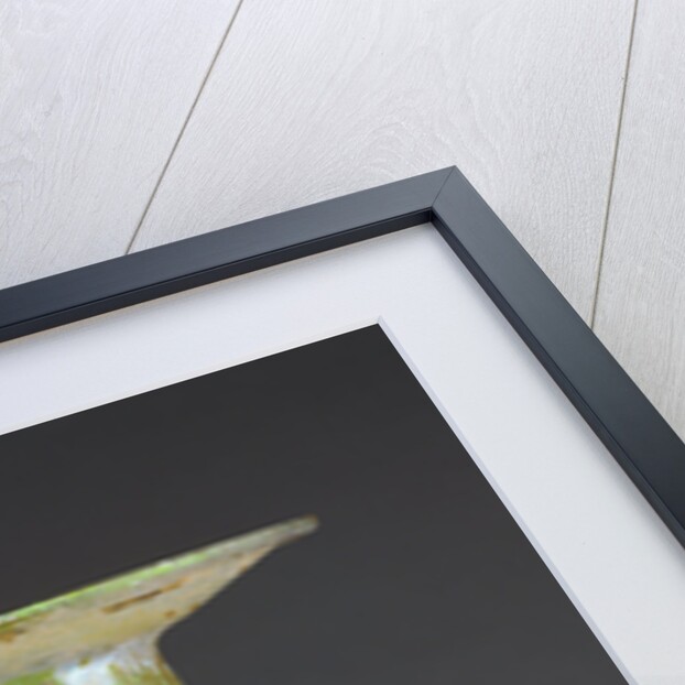 Sprinkler Flask by Anonymous