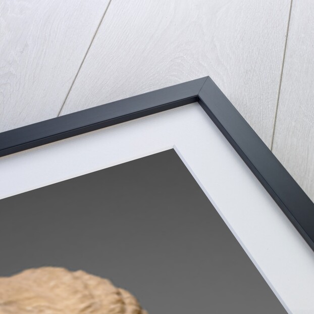 Head of a Young Woman from a Grave Naiskos by Anonymous