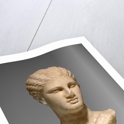 Head of a Young Woman from a Grave Naiskos by Anonymous