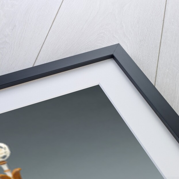 Curiosity Cabinet Object (objet de curiosité) by François Barreau