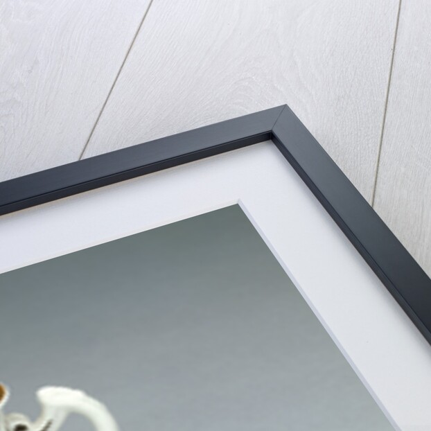 Cup and Saucer (Trembleuse) by Du Paquier Porcelain Manufactory