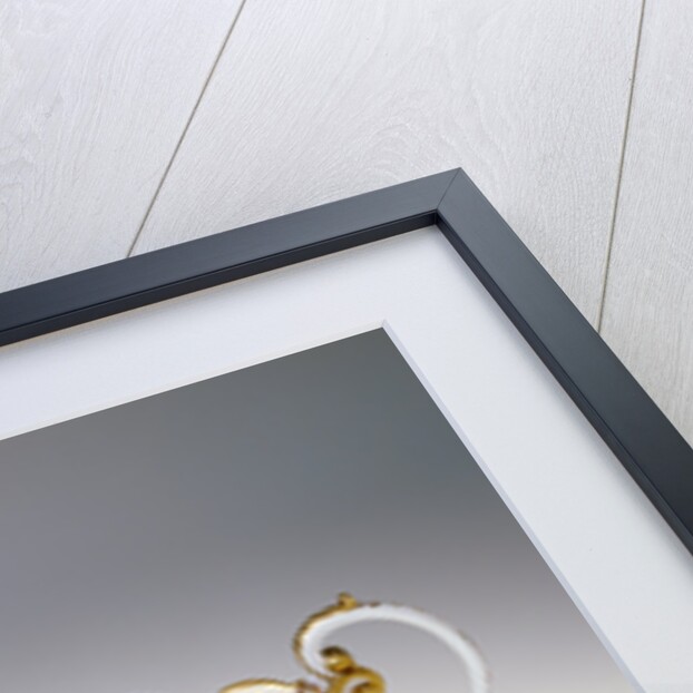 Ewer and Basin by Christian Frederich Herold