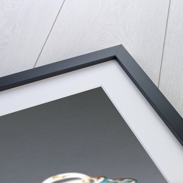 Pair of Lidded Chestnut Bowls (marronnières à ozier) by François-Firmin Dufresne