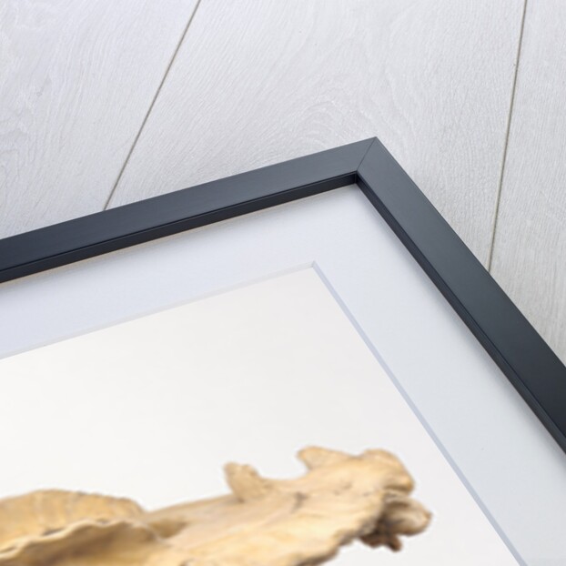 Possibly a Model for a Ceramic Vessel by Anonymous