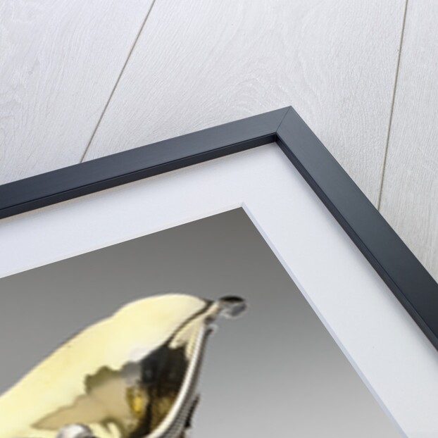 Sauceboat on stand by Jean-Baptiste-François Chéret